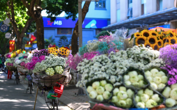 Những góc phố Hà Nội luôn mang một nét đẹp vừa cổ kính, vừa lãng mạn 